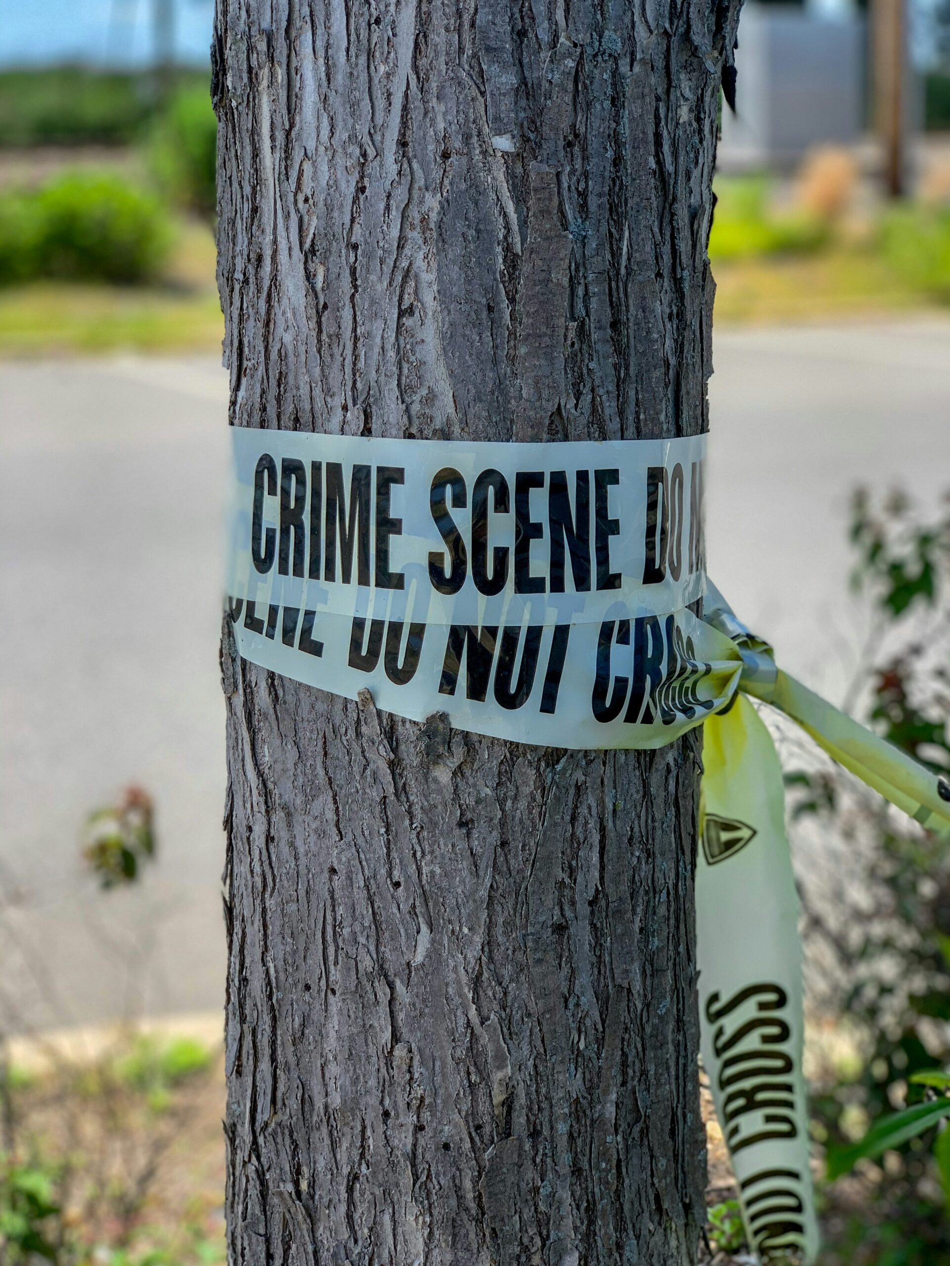 Feeling Forensic Sciences