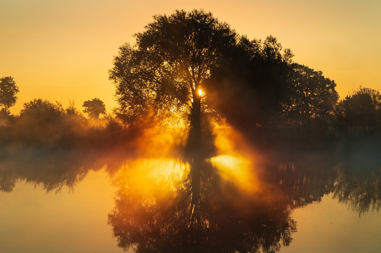 Taara – Politics and Spirituality